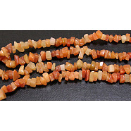 Natural Red Aventurine Chips Beads Strands, 5~8mm, Hole: 0.3mm, about 32~32.5 inch(F021)