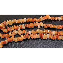 Natural Red Aventurine Chips Beads Strands, 5~8mm, Hole: 0.3mm, about 32~32.5 inch(F021)