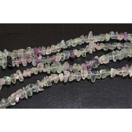 Natural Fluorite Chips Beads Strands, Colorful, 4~6mm, Hole: 0.3mm, 34 inch(F036)