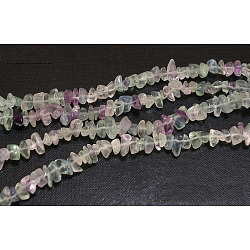 Natural Fluorite Chips Beads Strands, Colorful, 4~6mm, Hole: 0.3mm, 34 inch(F036)