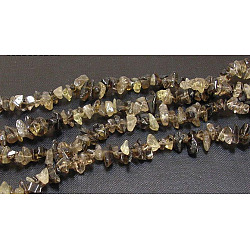 Natural Smoky Quartz Chips Beads Strands, 5~8mm, Hole: 1mm, 32 inch(F037)