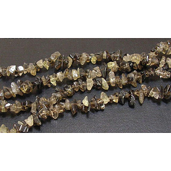 Natural Smoky Quartz Chips Beads Strands, 5~8mm, Hole: 0.3mm, 32 inch
