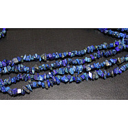 Precious Chip Lapis Lazuli Beads Strands. 3~5mm, about 32~32.5 inch Long, hole: about 0.3mm(F043)