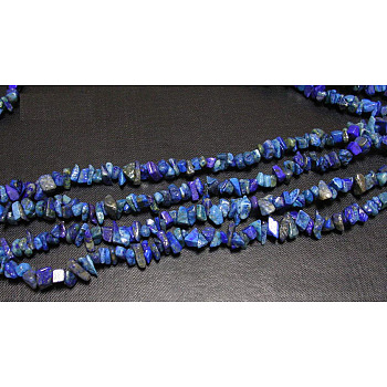 Precious Chip Lapis Lazuli Beads Strands. 3~5mm, about 32~32.5 inch Long, hole: about 0.3mm