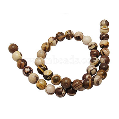 Natural Australia Zebra Stone Beads Strands(G-H1256-1)-2