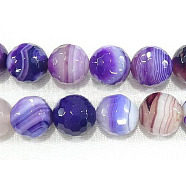 Natural Madagascar Agate Beads Strands, Striped Agate/Banded Agate, Faceted, Round, Dyed & Heated, Purple, 10mm(G-N213C-61)