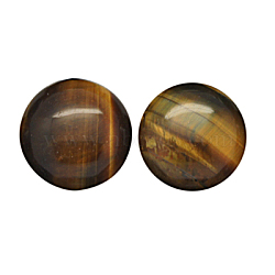 Natural Tiger Eye Cabochons, Half Round/Dome, Grade AB, 30x7mm(G-N201-8)