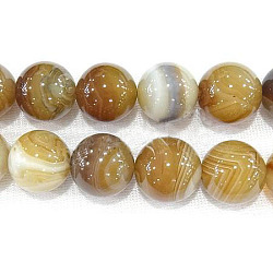 Natural Madagascar Agate Beads Strands, Striped Agate/Banded Agate, Round, Dyed & Heated, 6mm(G-N213B-57)