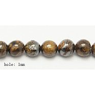 Natural Bronzite Beads Strands, Round, Coconut Brown, Size: about 6mm in diameter, hole: 1mm, 60pcs/strand, 15.7 inch(G-Q605-24)