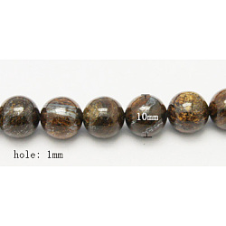 Natural Bronzite Beads Strands, Round, Coconut Brown, Size: about 10mm in diameter, hole: 1mm, about 39pcs/strand, 15.7 inch(G-Q605-26)