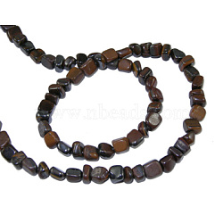 Natural Tiger Iron Beads Strands, Chips, 3~5mm, hole: 0.8mm, about 60pcs/strand, 15.5 inch(G365-4)