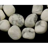 Natural Gemstone Beads Strands, Howlite, Barrel, White, 16~24x14~17mm, Hole: 1mm, about 22~23 pcs/strand, 15 inch(G501-78)