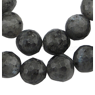 Natural Larvikite Beads Strands, Faceted(128 Facets) Round, about 8mm in diameter, hole: 1mm, 49 pcs/strand, 15 inch(G866-102)