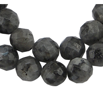 Natural Larvikite Beads Strands, Faceted(128 Facets) Round, about 6mm in diameter, hole: 0.8mm, 63 pcs/strand, 15 inch