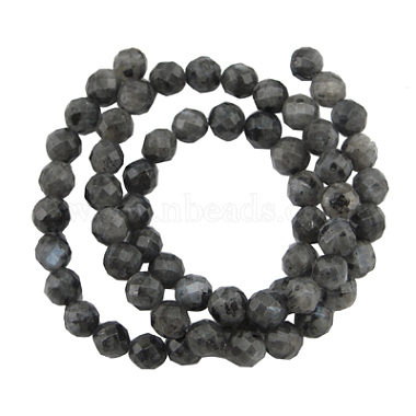 Natural Larvikite Beads Strands(G865-102)-2