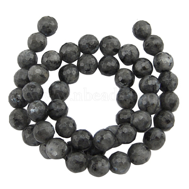 Natural Larvikite Beads Strands(G866-102)-2
