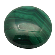 Natural Malachite Cabochons, Grade A, Half Round/Dome, Green, Size: about 20mm in diameter, 5mm thick(MALA-20D-6)