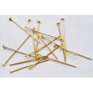 Iron Flat Head Pins, Cadmium Free & Nickel Free & Lead Free, Golden, 26x0.75~0.8mm, 20 Gauge, 11000pcs/1000g, Head: 2mm(NFHPG26mm)
