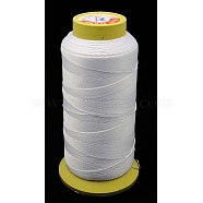 Nylon Sewing Thread, 3-Ply, Spool Cord, Alice Blue, 0.33mm, 1000yards/roll(OCOR-N3-25)