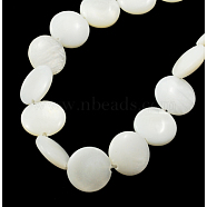 Natural Shell Beads Strands, Flat Round, White, 8x3mm, Hole: 1mm, about 50pcs/strnad, 15.3 inch(PBB-XXBK024Y-13)
