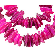 Natural Shell Beads Strands, Chips, Dyed, Hot Pink, about 6~15mm, 1~5mm thick, hole: 1mm, about 190pcs/strand, 15 inch(PBB226Y-3)
