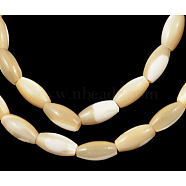 Natural Shell Beads Strands, Rice, Brown, about 8mm long, 4mm wide, hole: 1mm, about 50pcs/strand, 15 inch(PBB409Y-2)