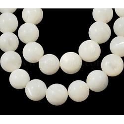 Natural White Shell Beads Strands, Mother of Pearl Shell Beads, Round, White, 3mm, Hole: 0.8mm(PBB448Y-1)