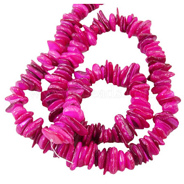 Natural Shell Beads Strands(PBB226Y-3)-2