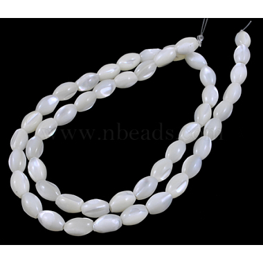 Natural Trochid Shell/Trochus Shell Beads Strands(PBB513Y)-2