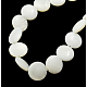 Chapelets de perles de coquillage naturel(PBB-XXBK024Y-13)-1