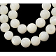 Natural White Shell Beads Strands(PBB448Y-1)-1
