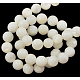 Natural White Shell Beads Strands(PBB448Y-1)-2