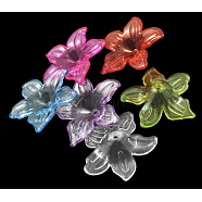 Transparent Acrylic Beads, Flower, Mixed Color, 26.5x6mm, Hole: 1.5~2mm, about 650pcs/500g(PL674Y)