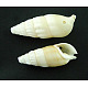 Natural Shell Pendants(PTS015Y)-1