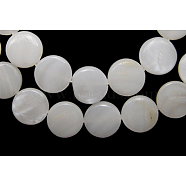 Natural Freshwater Shell Beads, Flat Round, White, 12.5mm(S00C20A6)