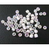 12/0 Glass Seed Beads, Trans.Inside Colours Rainbow Round, Floral White, 2mm, about 30000pcs/pound(SDB201)