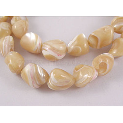 Erose Natural Shell Beads Strands, Goldenrod, about 6~13mm long, 6~12mm wide, hole: 1mm, about 42pcs/strand, 15~16 inch(SH012)