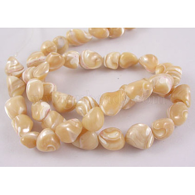 Erose Natural Shell Beads Strands(SH012)-2