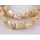 Erose Natural Shell Beads Strands(SH012)-1