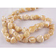 Erose Natural Shell Beads Strands(SH012)-2