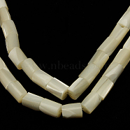 Natural White Shell Beads Strands, Mother of Pearl Shell Beads, Column, White, about 6mm wide, 14mm long, hole: 1mm, 29 pcs/strand, 16 inch(SSHEL-D614C)