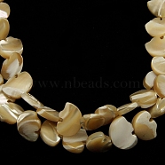 Natural Sea Shell Beads Strands, Bear, Tan, about 8mm wide, 12mm long, 4mm thick, hole: 1mm, 47 pcs/strand, 16 inch(SSHEL-F0812)