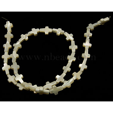 Natural White Shell Beads Strands(SSHEL-F0812C)-2