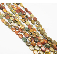 Natural Picasso Stone/Picasso Jasper Beads Strands, Oval, Colorful, Size: about 16mm long, 12mm wide, 5mm thick, hole: 1mm, about 26pcs/strand, 15.7 inch(TURQ-H035-18)