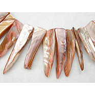 Natural Shell Beads Strands, Dyed, Erose, Pink, about 7~9mm wide, 25~35mm long, hole: about 0.5mm, 14 inch(YPBB033)
