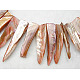 Natural Shell Beads Strands(YPBB033)-1