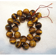 Round Tiger Eye Beads Strands, Grade AB+, Dark Goldenrod, 12mm, Hole: 1mm, about 33pcs/strand(Z0RQT014)