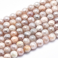 Electroplate Natural Sunstone Beads Strands, Faceted, Round, 6mm, Hole: 0.8mm, about 70pcs/strand, 15.7 inch(G-K256-17-6mm)