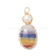 Chakra Natural Mixed Gemstone Copper Wire Wrapped Pendants, with Natural Freshwater Pearl Beads, Oval with Round Charms, Light Gold, 33x14.5x7mm, Hole: 3mm(PALLOY-JF02046-01)