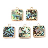 Natural Paua Shell Pendants, Square Charms with Brass Edge, Golden, 18x14.5x3.5mm, Hole: 1.8mm(SHEL-P017-21G)